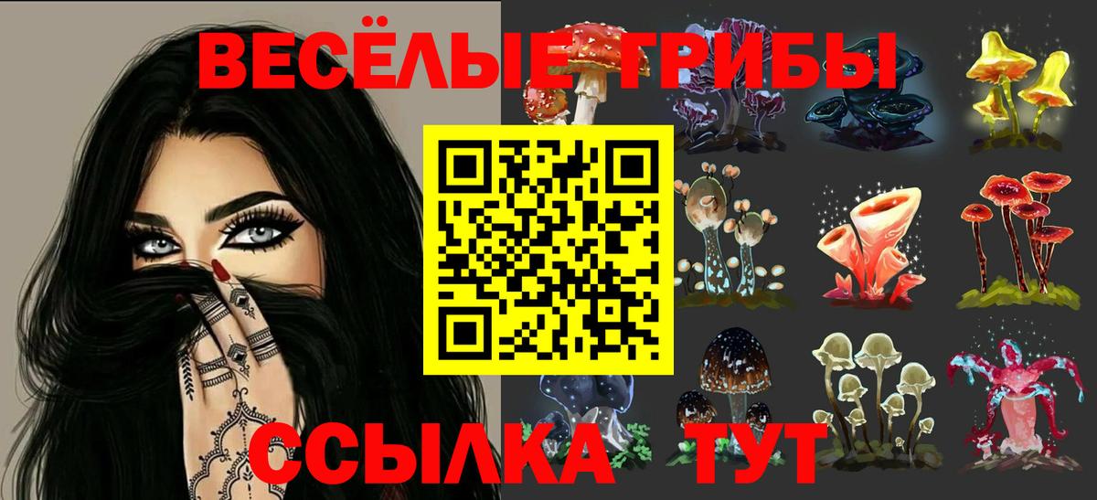 Галлюциногенные грибы Cubensis  Вход с VPN  Галлюциногенные грибы мицелий  Зима 